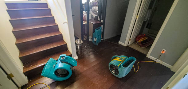 Best Flooded house restoration  in Green Cove Springs, FL