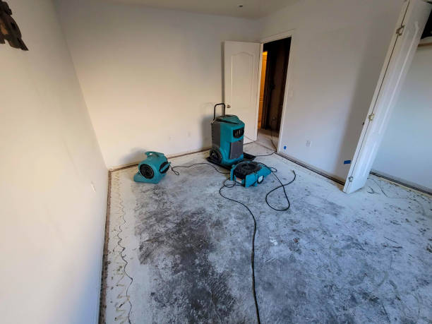 Best Professional water damage repair  in Green Cove Springs, FL