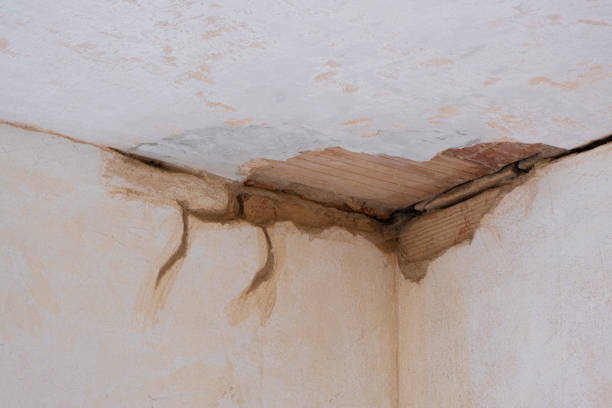 Best Commercial water damage restoration  in Green Cove Springs, FL