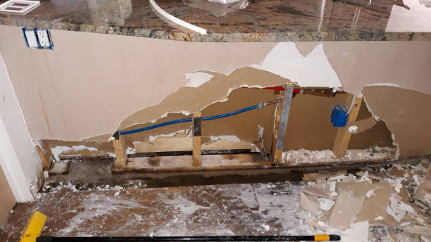Best Ceiling water damage repair  in Green Cove Springs, FL