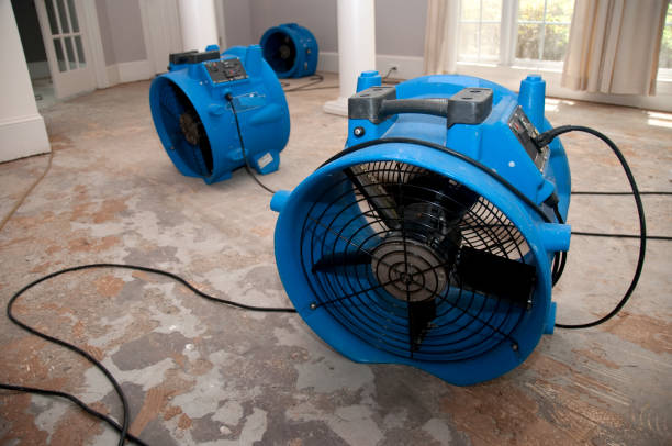 Professional Water damage restoration in Green Cove Springs, FL