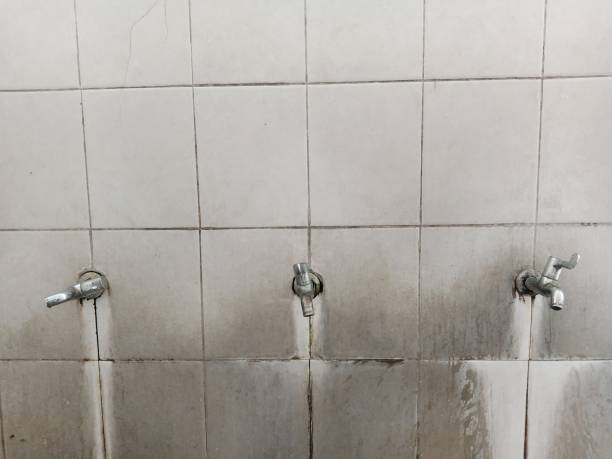 Best Fire Damage Restoration  in Green Cove Springs, FL