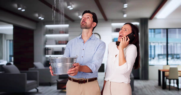 Best Mold removal after water damage  in Green Cove Springs, FL