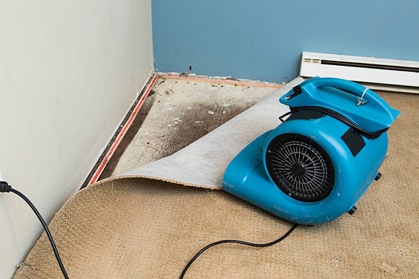 Trusted Green Cove Springs, FL Water damage restoration Experts